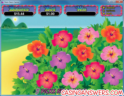 slots-oasis-casino-blog-10-d