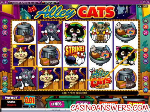 alley cats video slot