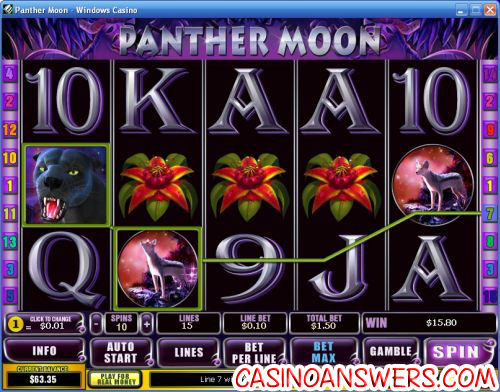 panther moon video slot 1