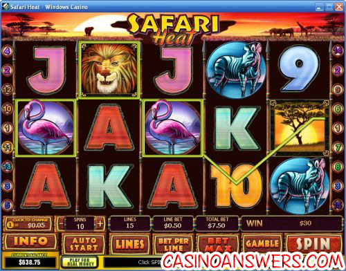 safari heat video slot