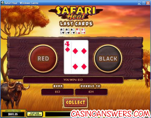 safari heat video slot bonus game