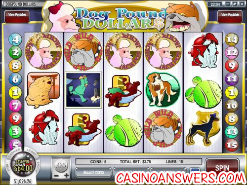 dog pound dollars rival slot