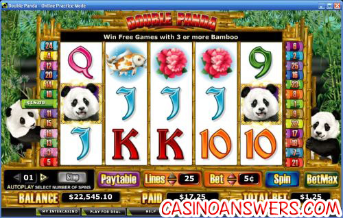 double panda video slot