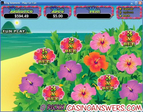 paradise dreams bonus game