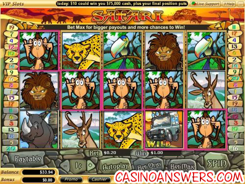 safari video slot