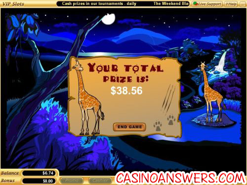 safari bonus casino game