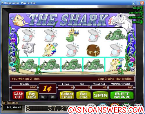 the shark rtg video slot