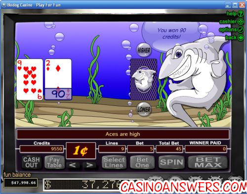 the shark casino game