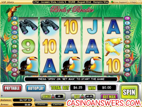 birds of paradise video slot