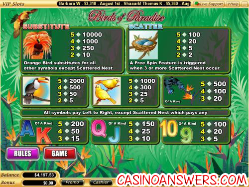 birds of paradise flash game