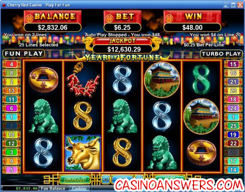 year of fortune video slot