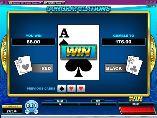 dolphin coast casino game