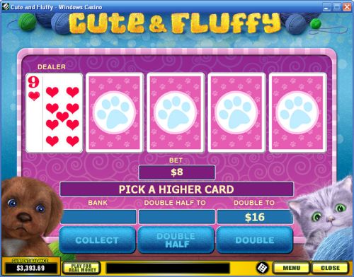 cute fluffy cat game