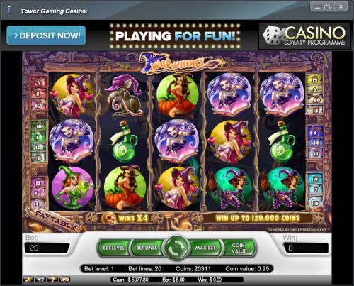 wild witches video slot