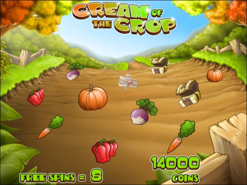 cream of the crop flash game