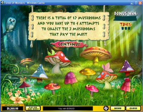 forest of wonders flash game