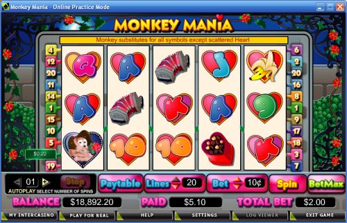 monkey mania video slot