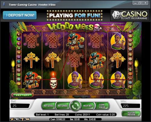 voodoo vibes video slot