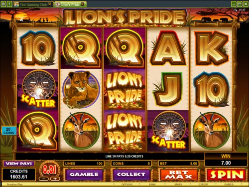 lions pride slot