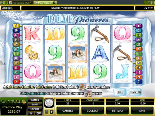 polar pioneers video slot