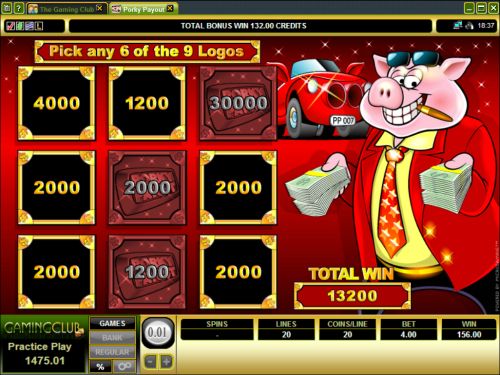 porky payout video slot