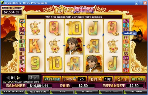 rajahs rubies video slot